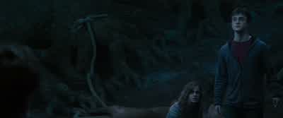 UMBRIDGE: You filthy animal. - Harry Potter and the Order of the Phoenix