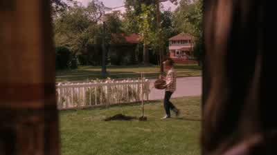 ¿Un árbol? - Flipped