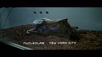 Un survivant, ça? - The Fifth Element