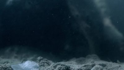 Unbalanced oceans are open to invasion, - Hostile Planet