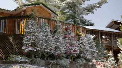 Uncle Harry? Are you here? - Return to Christmas Creek