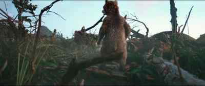 Uncle Pastuzo? - Paddington