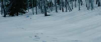 (UNCOCKS HAMMER) - Wind River