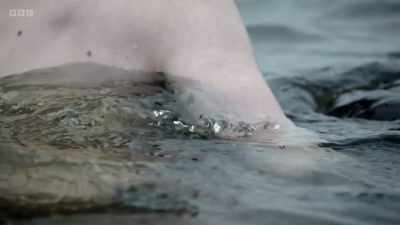 Uncontrollable shivering
pushes their bodies into overdrive, - The Human Body: Secrets of Your Life Revealed