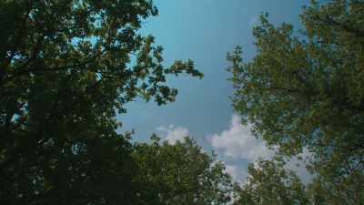Under a June blue sky
waving her scarf to greet us. - June