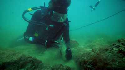 Under Coromandel coast, - Gold Rush: Parker's Trail