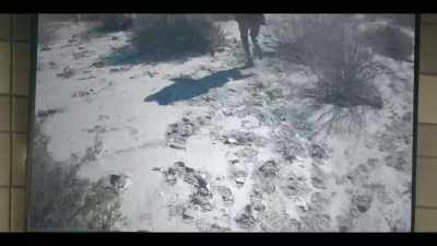 Under Mr Levy's guidance, we started
the audio earlier by the estimated - The Capture