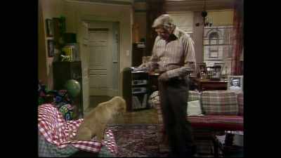 Under no circumstances
will your presence - Punky Brewster