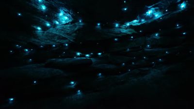 Under rock shelves and ledges, - Earth at Night in Color