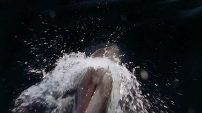 Under the waves, - Nova