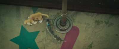 - Under! Up.
- Here we go. Again, oh, whoa! - Gracie & Pedro: Pets to the Rescue