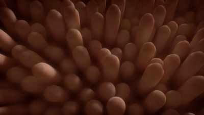 Underneath this outer layer,
deep in the gut's lining, - Human: The World Within