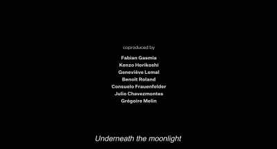 Underneath the moonlight - Annette