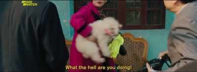 - Understand?
- Miss Wang, please calm down. - Dead Pigs