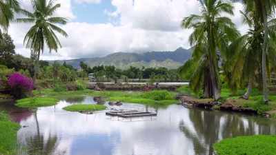 Understanding the island
might help you get there. - Romance in Hawaii