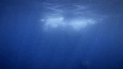 "Underwater,
the splash can be heard for miles." - Secrets of the Whales
