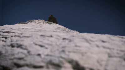 Undetected yet ever
present, watching, waiting, - Secrets of the Sasquatch