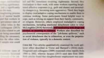 Unfortunately, they can be quite problematic - Pignorant