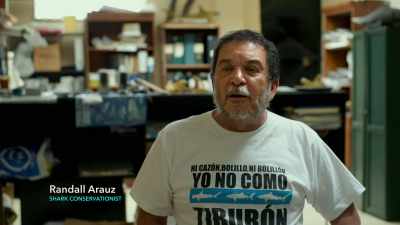 Unfortunately, we had
a new president step in, - Sharkwater Extinction