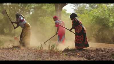 Unfortunately, the most affected
would be poor people - Extinction: The Facts