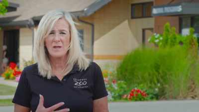 Unfortunately,
the mother passed away - Secrets of the Zoo
