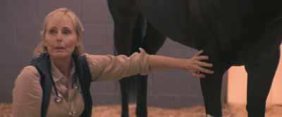 Unfortunately these scars
will last for a lifetime, - Black Beauty