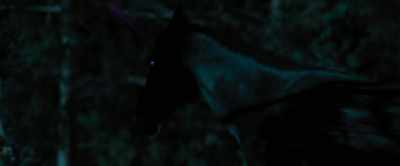 [unicorn growls] - Nightbooks