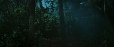 Wolves? - Family Camp