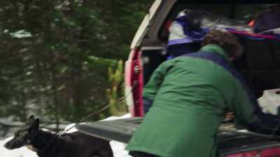 Unlike a cadaver dog who is
looking for a dead body, - The Disappearance of Maura Murray