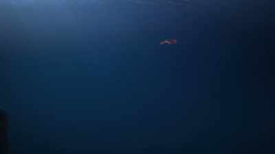 Unlike any life
form before them, - Cosmos: Possible Worlds