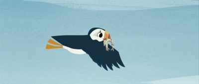 Unlike puffins, - Puffin Rock and the New Friends