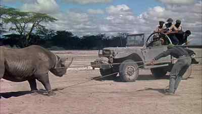 Unload in a hurry and grab those lines! - Hatari!