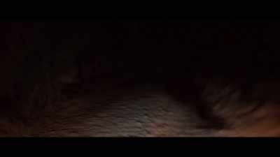 [unsettling music] - Identifying Features