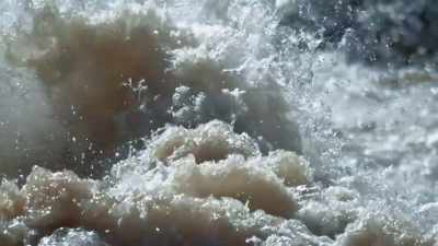 Untamed, - Epic Yellowstone