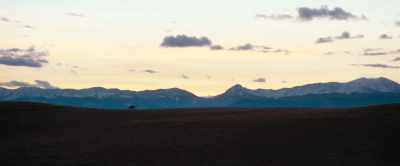 Until eventually settling
into a quiet life - The Last Son