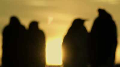Until finally the sun sets
for the last time for two months. - Dynasties