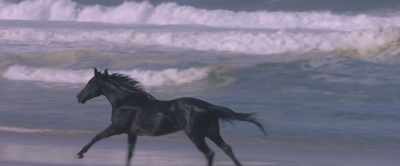 Until I discovered a secret that saved me. - Black Beauty