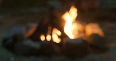 Until now." - Woody Woodpecker Goes to Camp