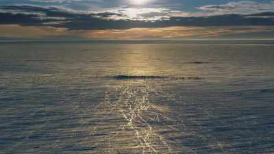 Until one spring day, - Frozen Planet II