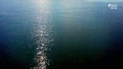 ..until researchers looked inland - Curse of the Ancients with Alice Roberts