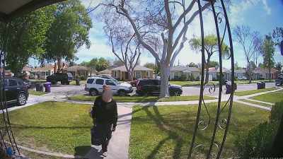 Until she spots something
in a mailbox. - Neighborhood Wars