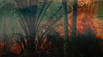 UNTIL WE CLEAR THEM,
AND LIGHT THEM ON FIRE. - Before the Flood