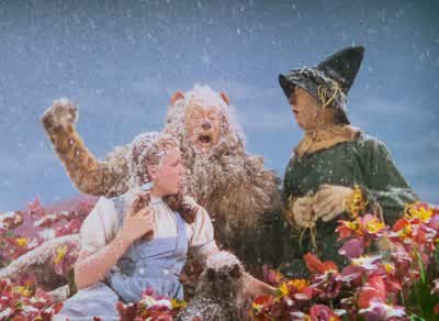 Unusual weather we're having, ain't it? - The Wizard of Oz