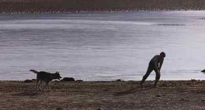 Up. Come on.
Come on, get it. - White Fang