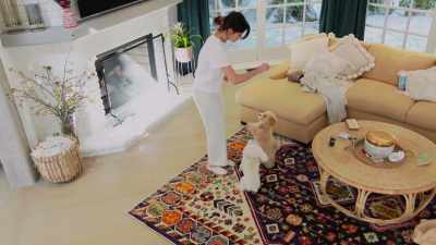 Up. [gasps] Good doggy! - Selena + Chef