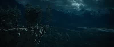 Up into the trees! - The Hobbit: An Unexpected Journey