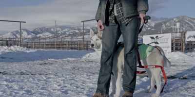 Up next, we have
the Alaskan Assassin, - The Year of the Dog