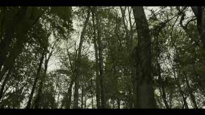 Up-tempo, suspenseful music - American Rust