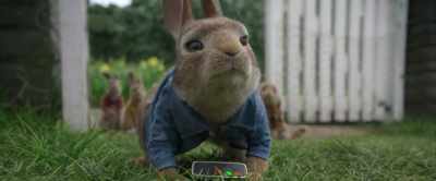 Up there. Just in
that... In the faraway tree. - Peter Rabbit