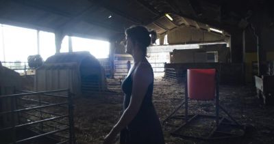 Up! - Cow